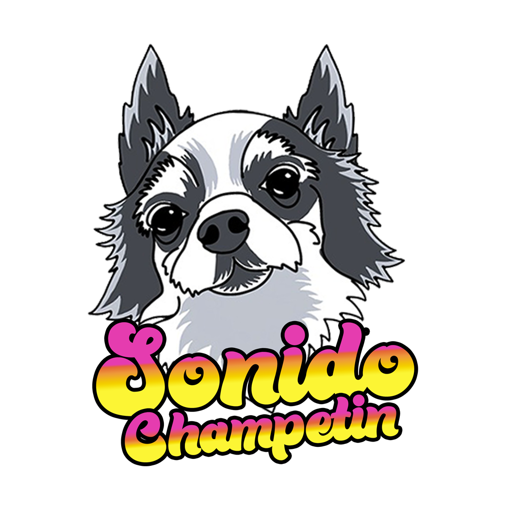 sonidochampetin.com